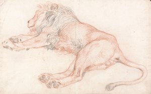 Aslan Çalışması, Dinlenme by Unbekannt Unbekannt